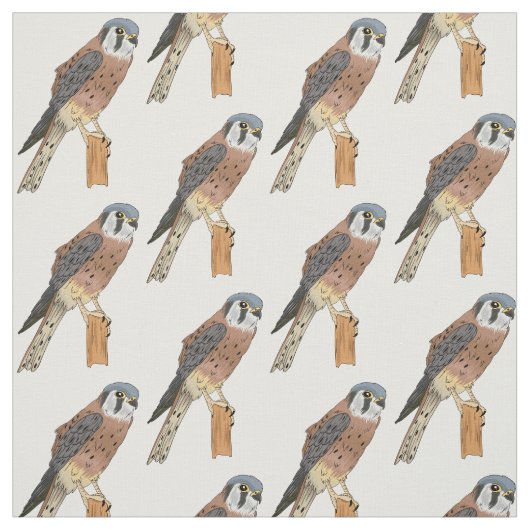 American Kestrel Vogelillustrierung Stoff (Muster)