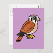 American Kestrel Weibchen Postkarte (Vorne/Hinten)