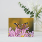 American Lady Butterfly & Clara Curtis Mums Postkarte (Stehend Vorderseite)