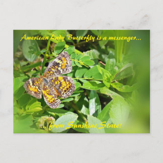 American Lady Butterfly ist Bote, FL Postkarte