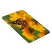 American Lady Butterfly Magnet (Rechte Seite)