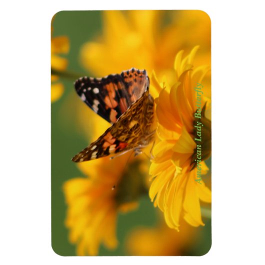 American Lady Butterfly Magnet (Vertikal)