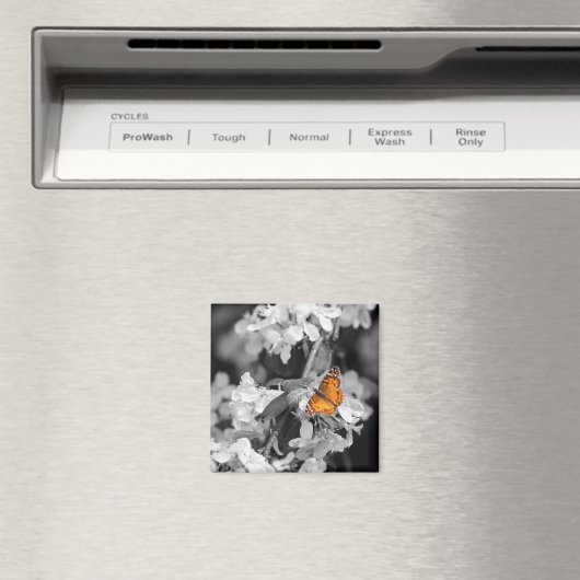 American Lady Butterfly On Apple Blossom Magnet (In Situ (Geschirrspüler))