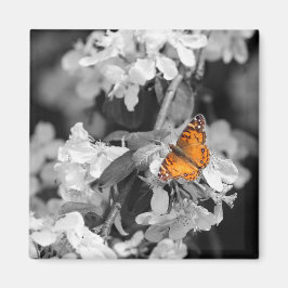 American Lady Butterfly On Apple Blossom Magnet