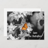 American Lady Butterfly on Apple Blossom Postkarte (Vorne/Hinten)