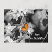 American Lady Butterfly on Apple Blossom Postkarte (Vorderseite)