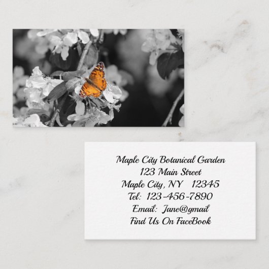 American Lady Butterfly on Blossom Business Card Visitenkarte (Vorne/Hinten)