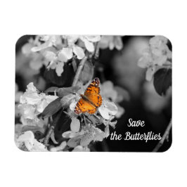 American Lady Butterfly On Blossom Magnet