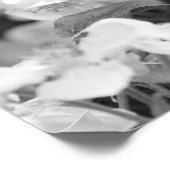 American Lady Butterfly on Blossom Poster (Ecke)