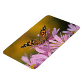 American Lady Butterfly Perennial Clara Curtis 4x6 Magnet (Linke Seite)