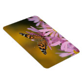 American Lady Butterfly Perennial Clara Curtis 4x6 Magnet (Rechte Seite)