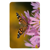 American Lady Butterfly Perennial Clara Curtis 4x6 Magnet (Vertikal)