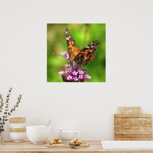 American Lady Butterfly Poster (Küche)
