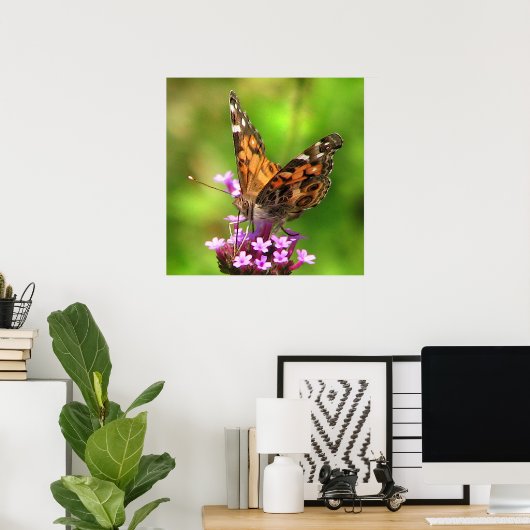 American Lady Butterfly Poster (Heimbüro)