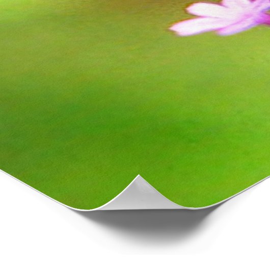 American Lady Butterfly Poster (Ecke)