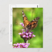 American Lady Butterfly Postkarte (Vorne/Hinten)