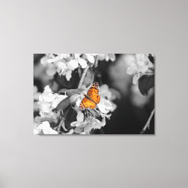 American Lady Butterfly Stretched Canvas Print Leinwanddruck
