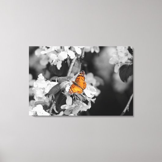 American Lady Butterfly Stretched Canvas Print Leinwanddruck (Vorderseite)