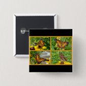 American Lady Butterfly - Vanessa virginiensis Button (Vorne & Hinten)