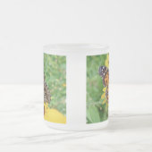 American Lady Butterfly - Vanessa virginiensis Mattglastasse (Mittel)