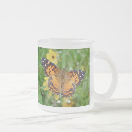 American Lady Butterfly - Vanessa virginiensis Mattglastasse (Rechts)