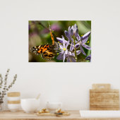 American Lady Butterfly Wild Hyacinth Poster (Küche)