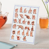 American Language Alphabet Board, Learn ASL Sockelschild (In Situ)