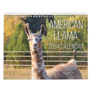 American Llama 2024 Kalender