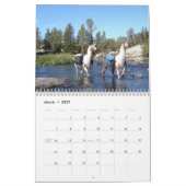 American Llama 2024 Kalender (Mär 2027)