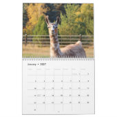 American Llama 2024 Kalender (Jan 2027)