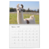 American Llama 2024 Kalender (Feb 2027)