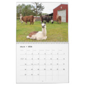 American Llama Magazine 2023 Calendar Kalender (Mär 2026)
