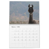 American Llama Magazine 2023 Calendar Kalender (Feb 2026)