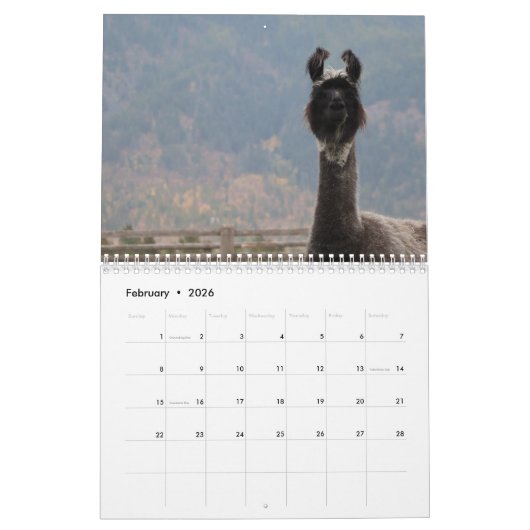 American Llama Magazine 2023 Calendar Kalender (Feb 2026)