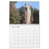 American Llama Magazine 2023 Calendar Kalender (Jan 2026)