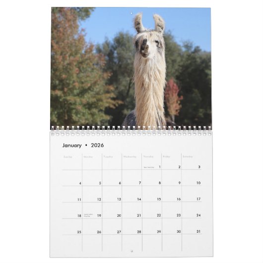 American Llama Magazine 2023 Calendar Kalender (Jan 2026)