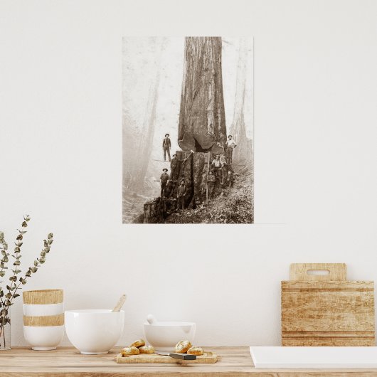 American Loggers Circa 1880 Poster (Küche)