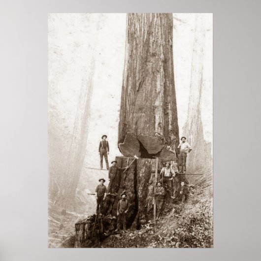 American Loggers Circa 1880 Poster (Vorne)