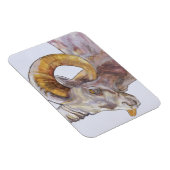 American Long Horn 2004 Magnet (Rechte Seite)