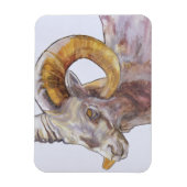 American Long Horn 2004 Magnet (Vertikal)