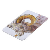 American Long Horn 2004 Magnet (Linke Seite)