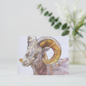 American Long Horn 2004 Postkarte (Stehend Vorderseite)