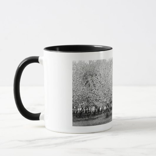 American Man in Orchard Real Foto Kaffee Tasse (Links)