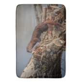 American Mink Badematte (Vorderseite Vertikal)