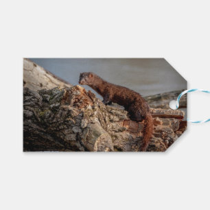 American Mink Geschenkanhänger