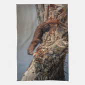American Mink Geschirrtuch (Vertikal)