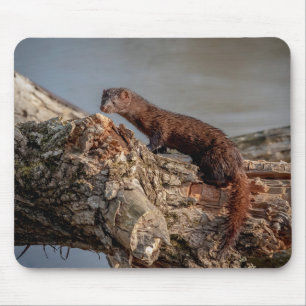 American Mink Mousepad