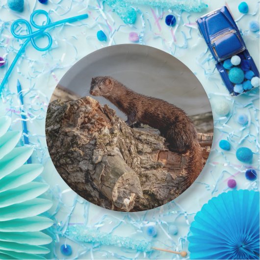 American Mink Pappteller (Party)