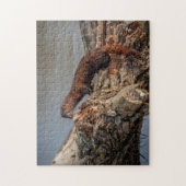 American Mink Puzzle (Vertikal)