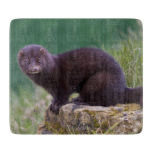 American Mink Recangle Cutting Board Schneidebrett